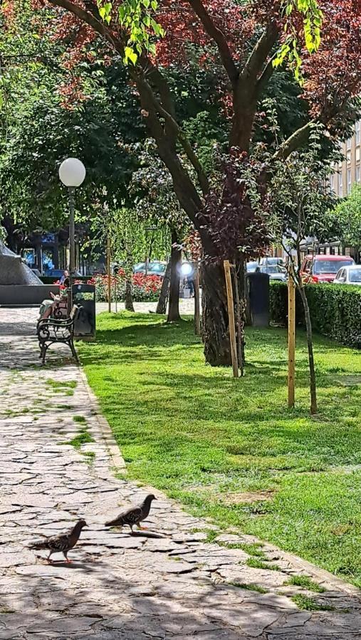 Apartman Jaki زغرب المظهر الخارجي الصورة
